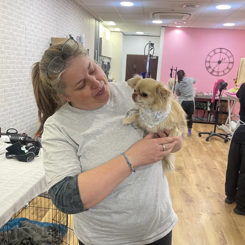 A groomer smiling at a small tan chihuahua during a groom